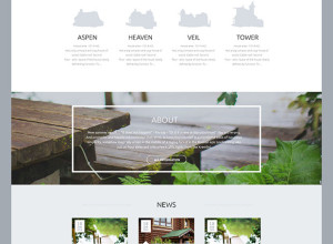 Wolshino-free-PSD-template