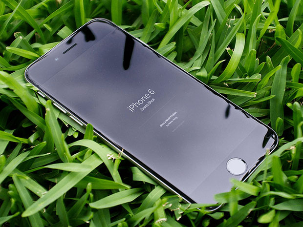 iPhone-6-Grass-Shot