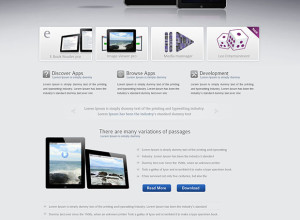 Professional-Premium-Website-Design-Template